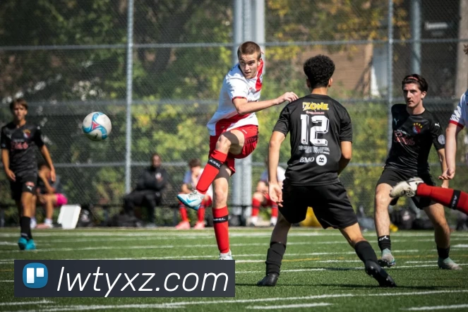 乐玩体育app平台生态图