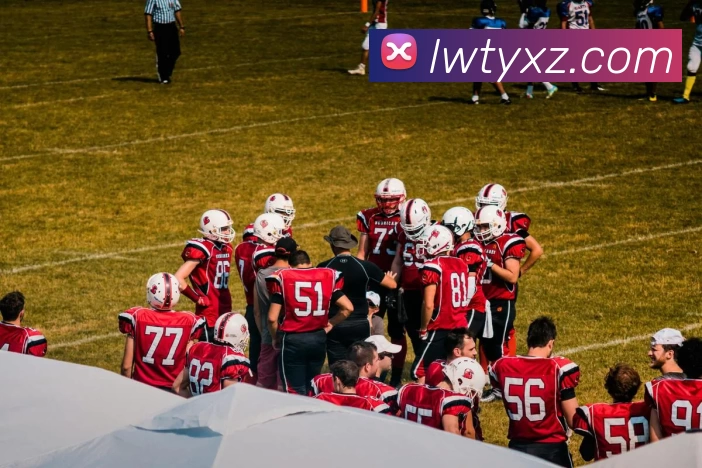 企业概况