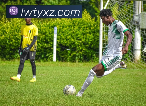 乐玩体育app全站App